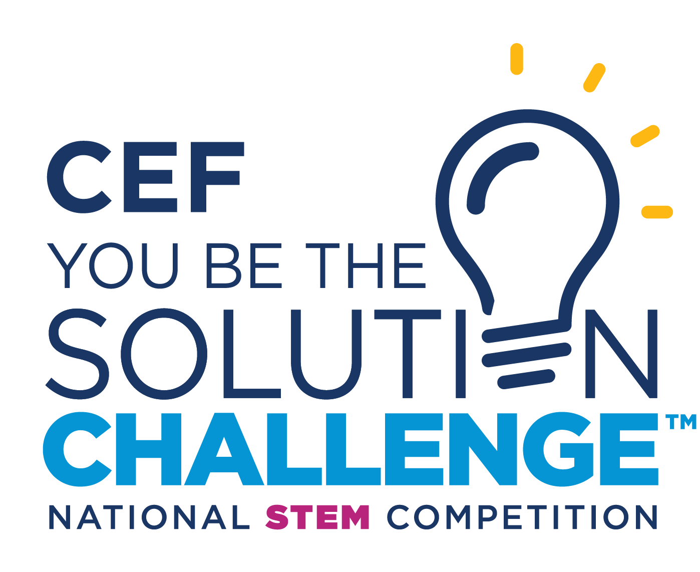 The Challenge - Chemical Educational Foundation